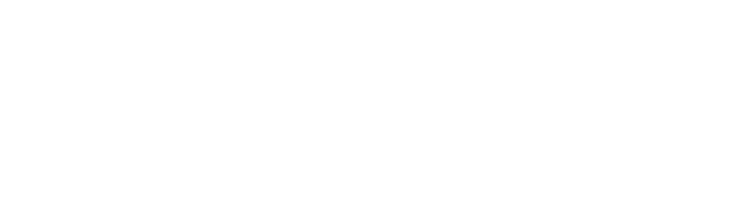 Leaders Academy Logo